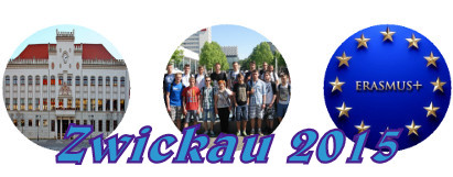 Strona www o praktykach Zwickau 2015